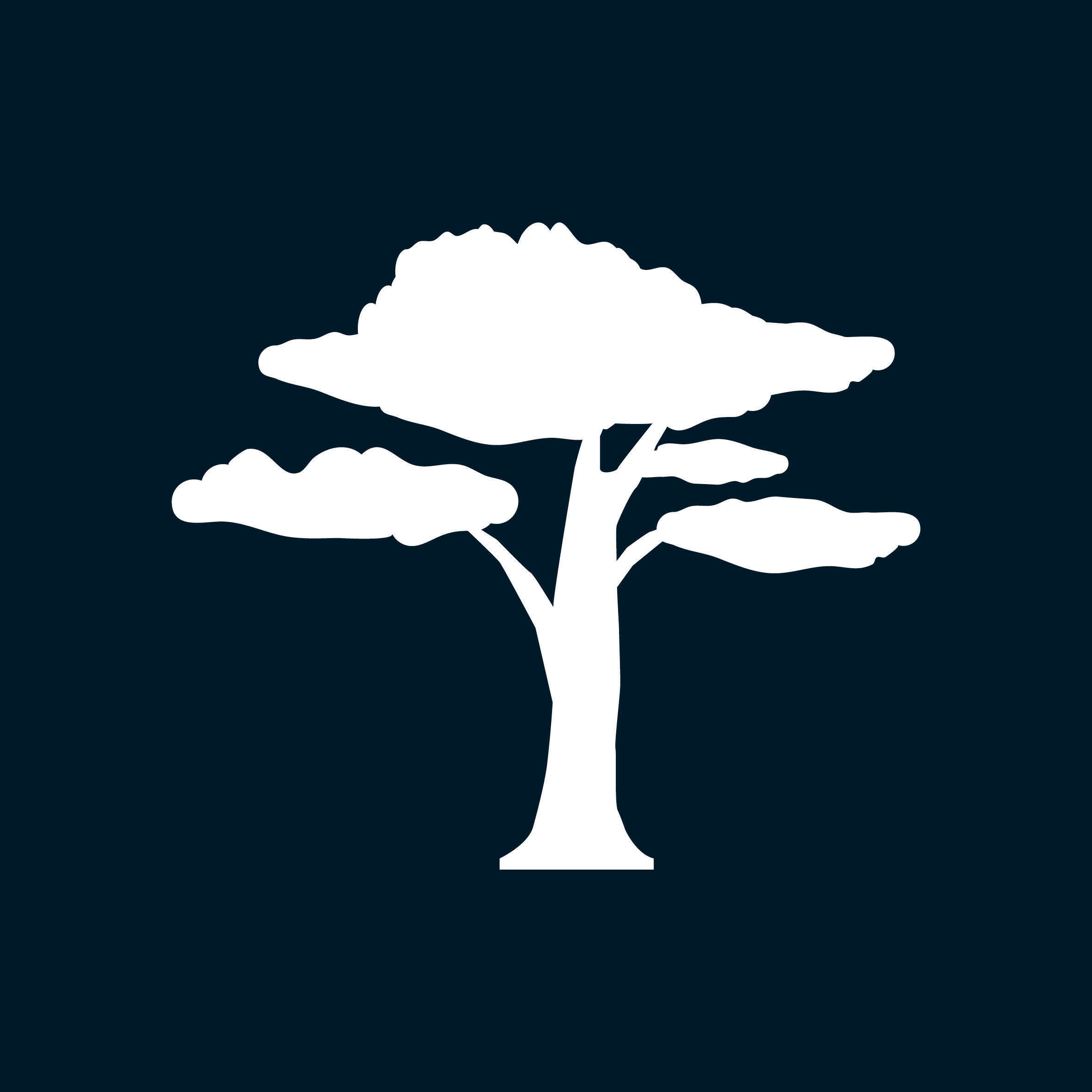 Logo embleem van Callens, een witte Afrikaanse boom op een donkerblauwe achtergrond